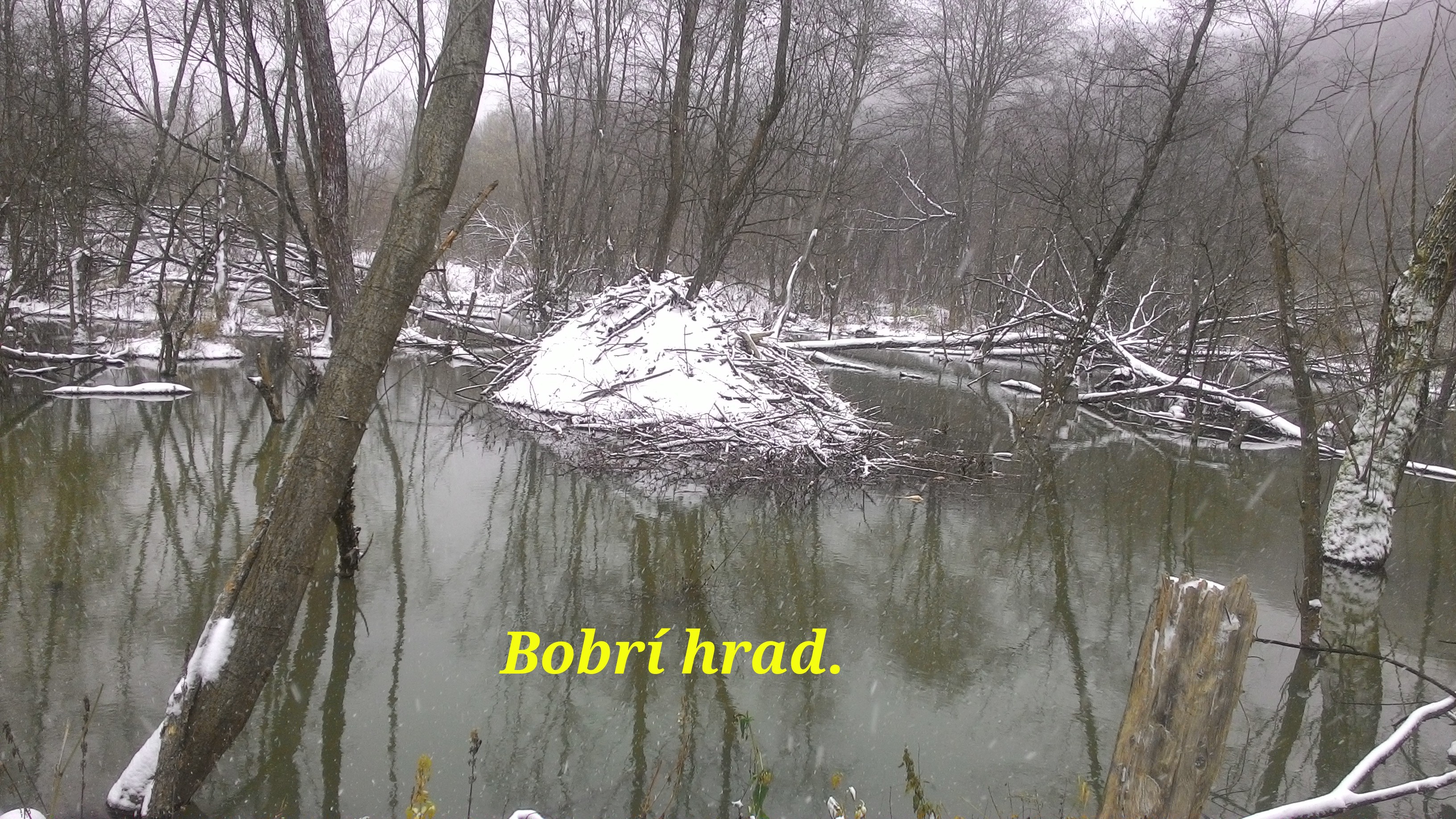 Bobrí hrad
