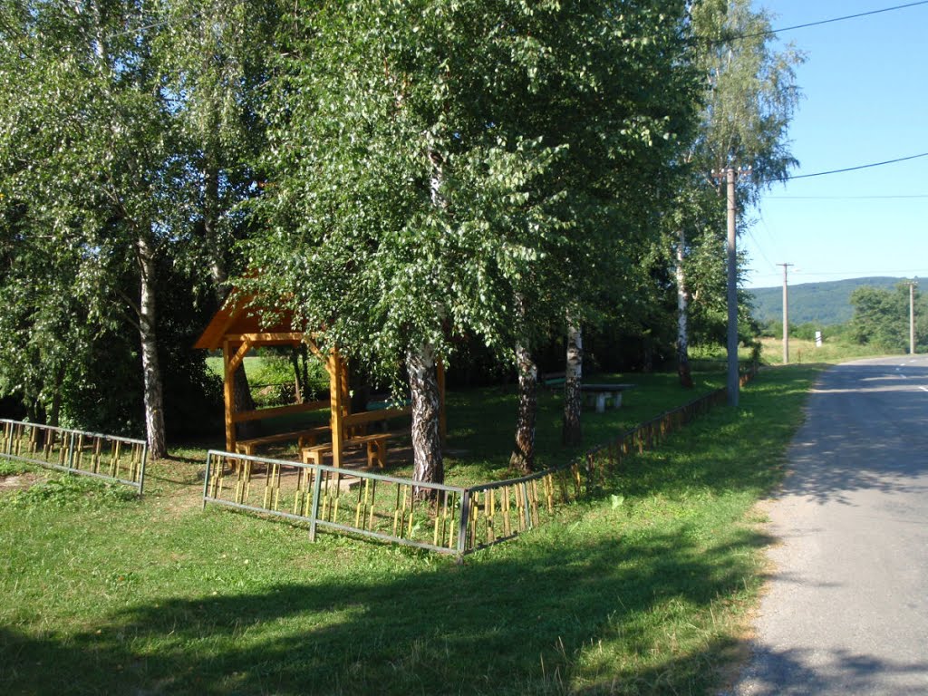 91365587